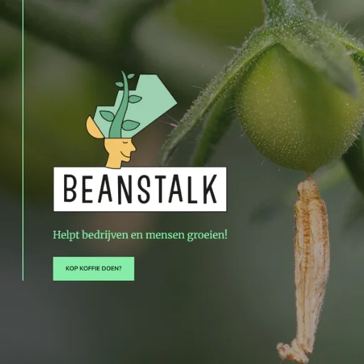 512_roots-webdesite-casus-review-06512